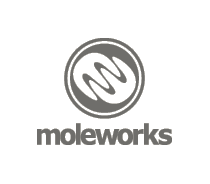moleworks���S