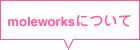 moleworks�ɂ���